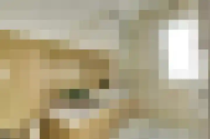 De Eenhoorn 2 e Oosterblokker thumbnail 24
