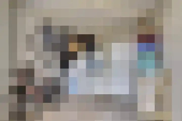 De Eenhoorn 2 e Oosterblokker thumbnail 30