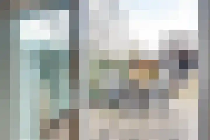 De Eenhoorn 2 e Oosterblokker thumbnail 31