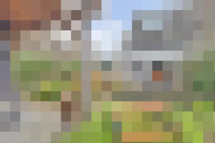 De Eenhoorn 2 e Oosterblokker thumbnail 33