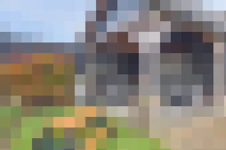 De Eenhoorn 2 e Oosterblokker thumbnail 34