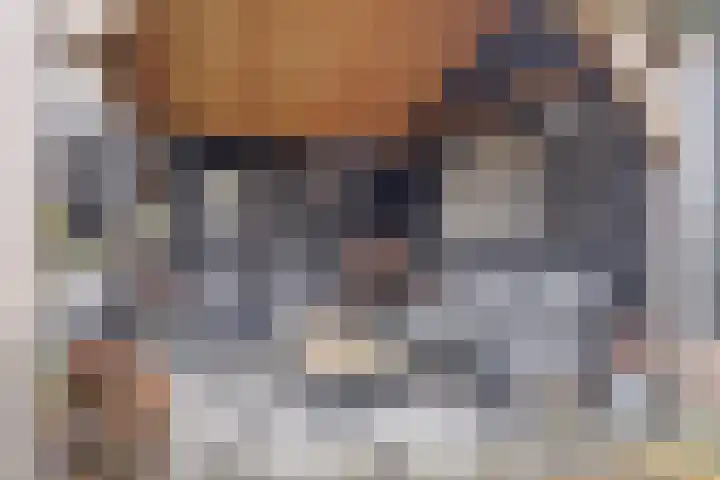 De Eenhoorn 2 e Oosterblokker thumbnail 35