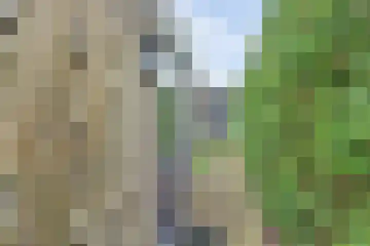 De Eenhoorn 2 e Oosterblokker thumbnail 37