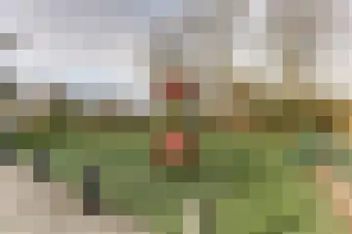 De Eenhoorn 2 e Oosterblokker thumbnail 38