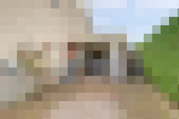 De Eenhoorn 2 e Oosterblokker thumbnail 5