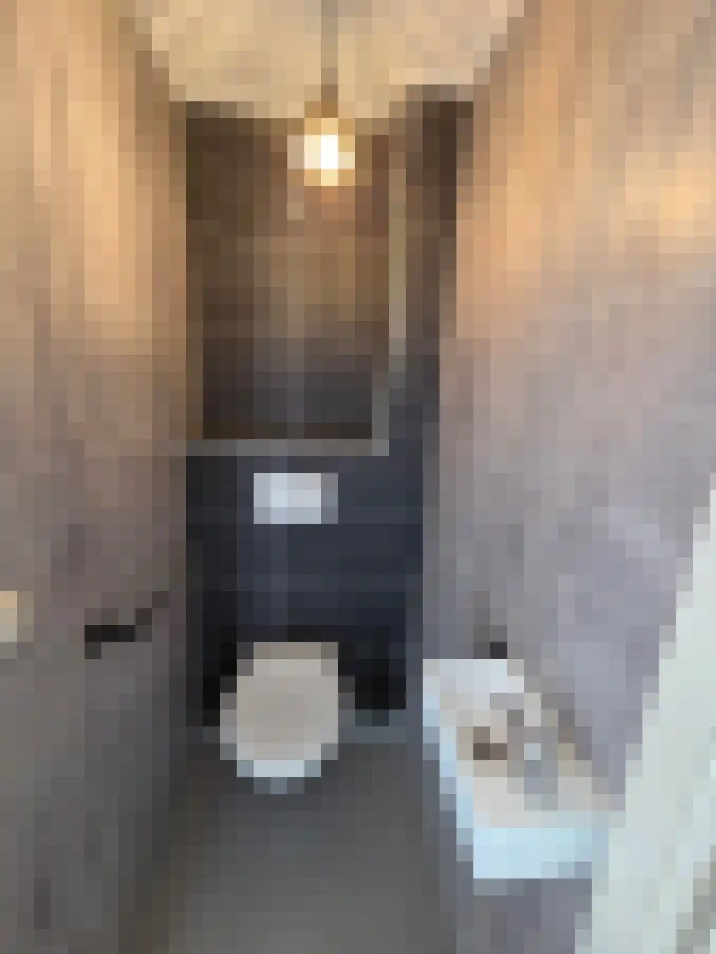 De Eenhoorn 38 Oosterblokker thumbnail 10