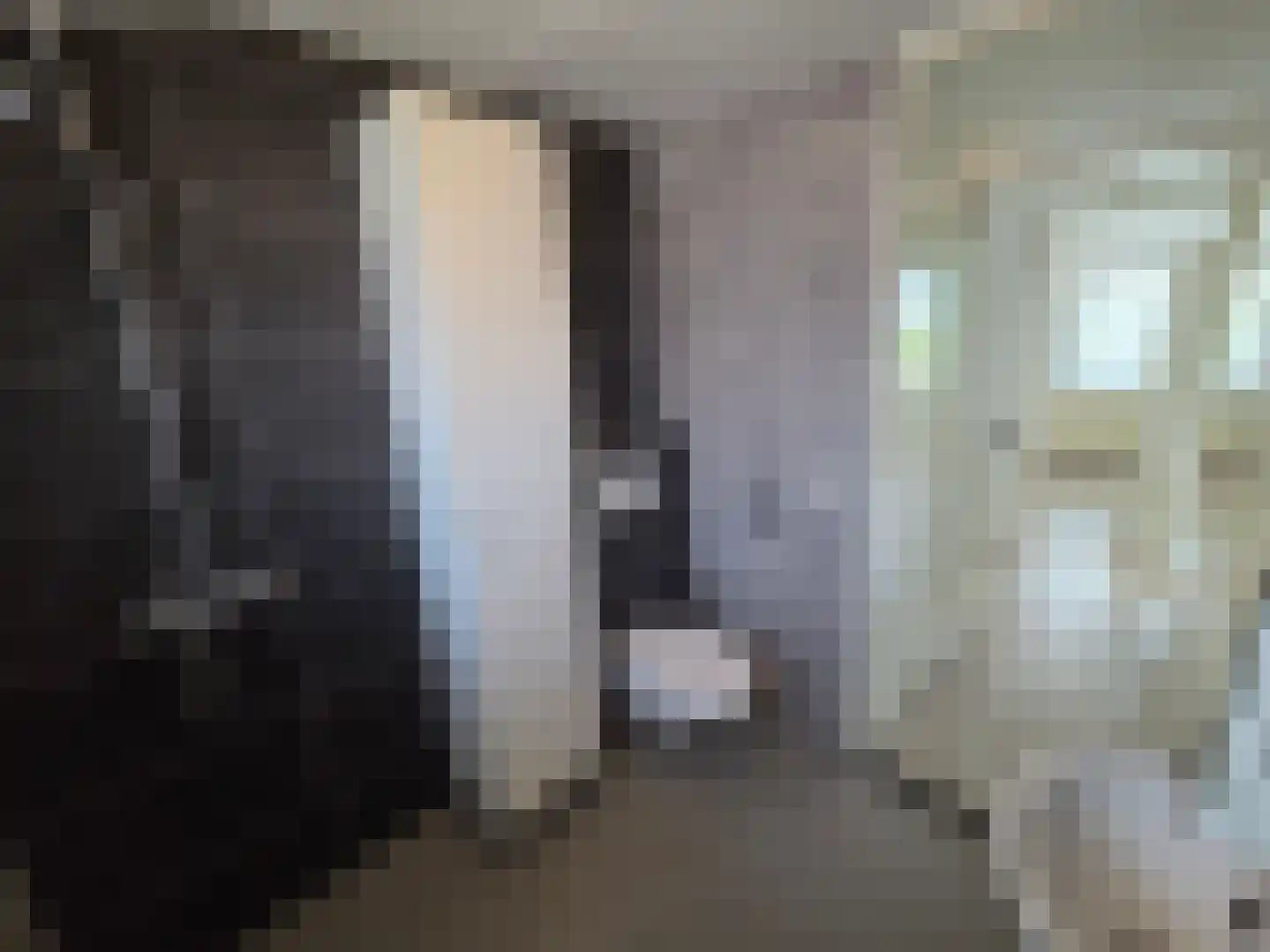 De Eenhoorn 38 Oosterblokker thumbnail 15