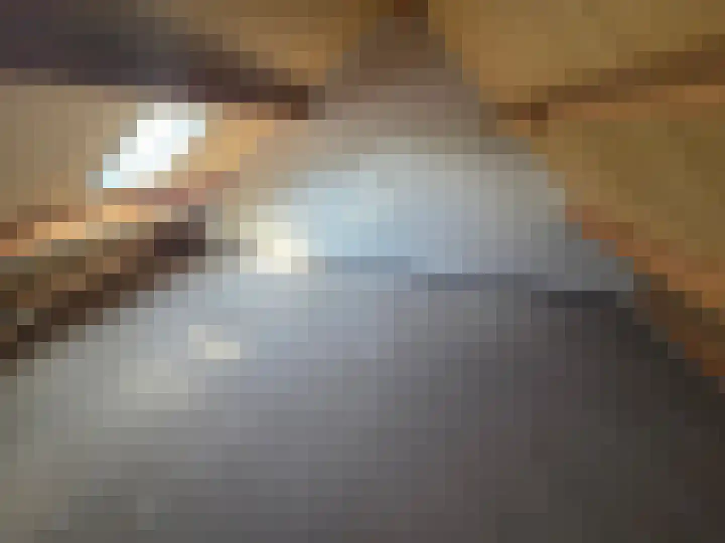 De Eenhoorn 38 Oosterblokker thumbnail 17