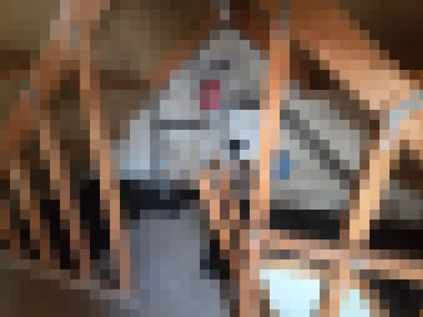 De Eenhoorn 38 Oosterblokker thumbnail 18