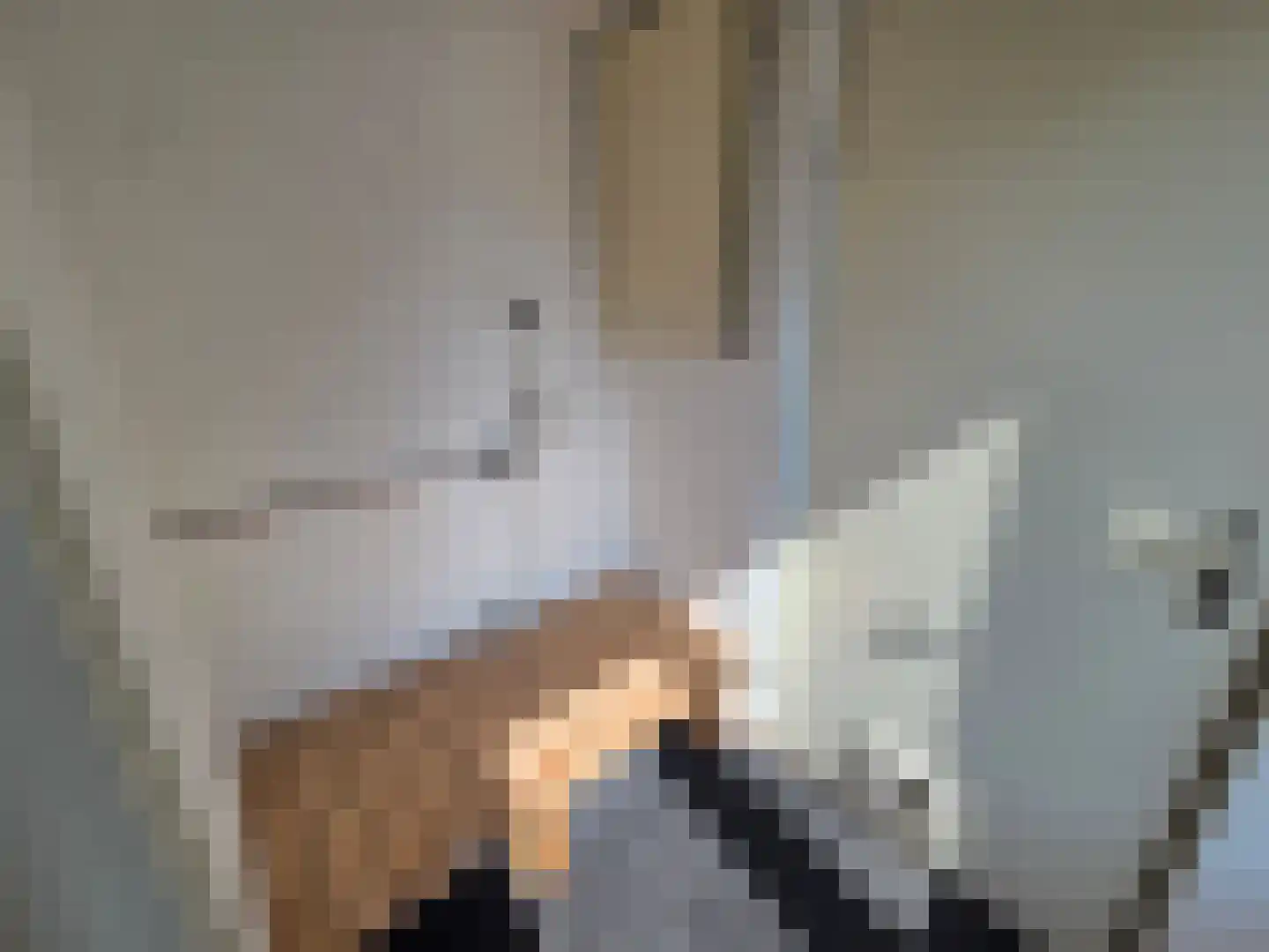 De Eenhoorn 38 Oosterblokker thumbnail 8