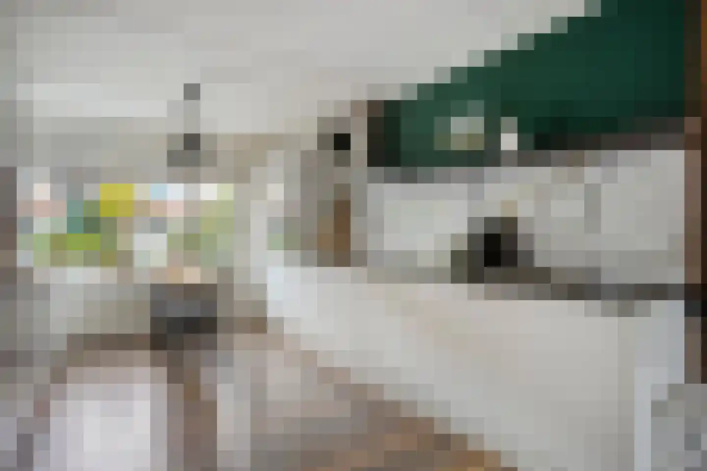 De Eenhoorn 44 Middenbeemster thumbnail 16