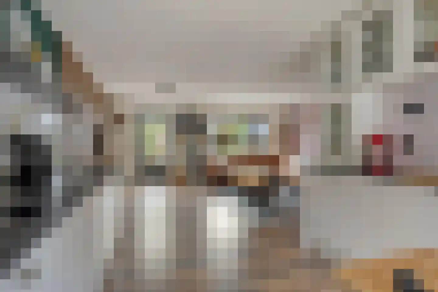 De Eenhoorn 44 Middenbeemster thumbnail 17