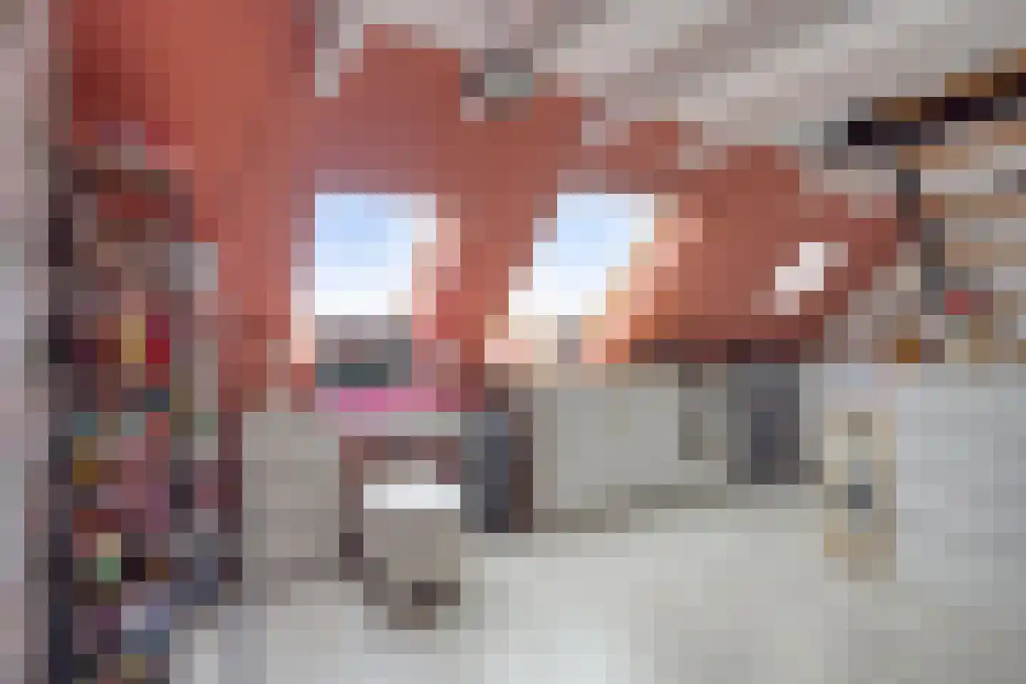 De Eenhoorn 44 Middenbeemster thumbnail 31