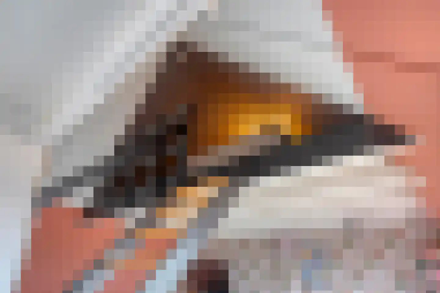 De Eenhoorn 44 Middenbeemster thumbnail 34