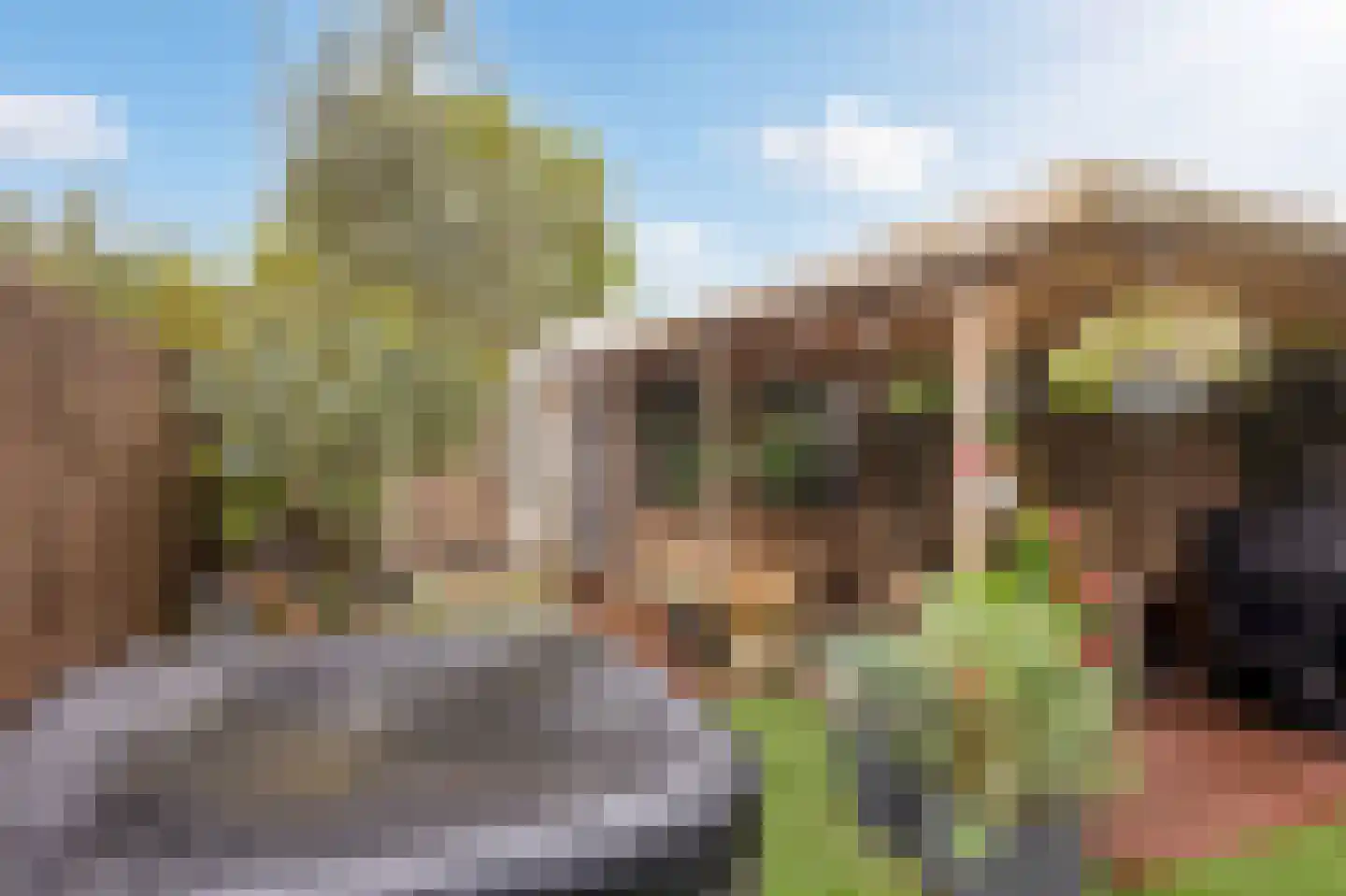De Eenhoorn 44 Middenbeemster thumbnail 38