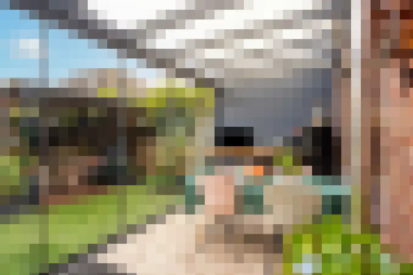 De Eenhoorn 44 Middenbeemster thumbnail 5