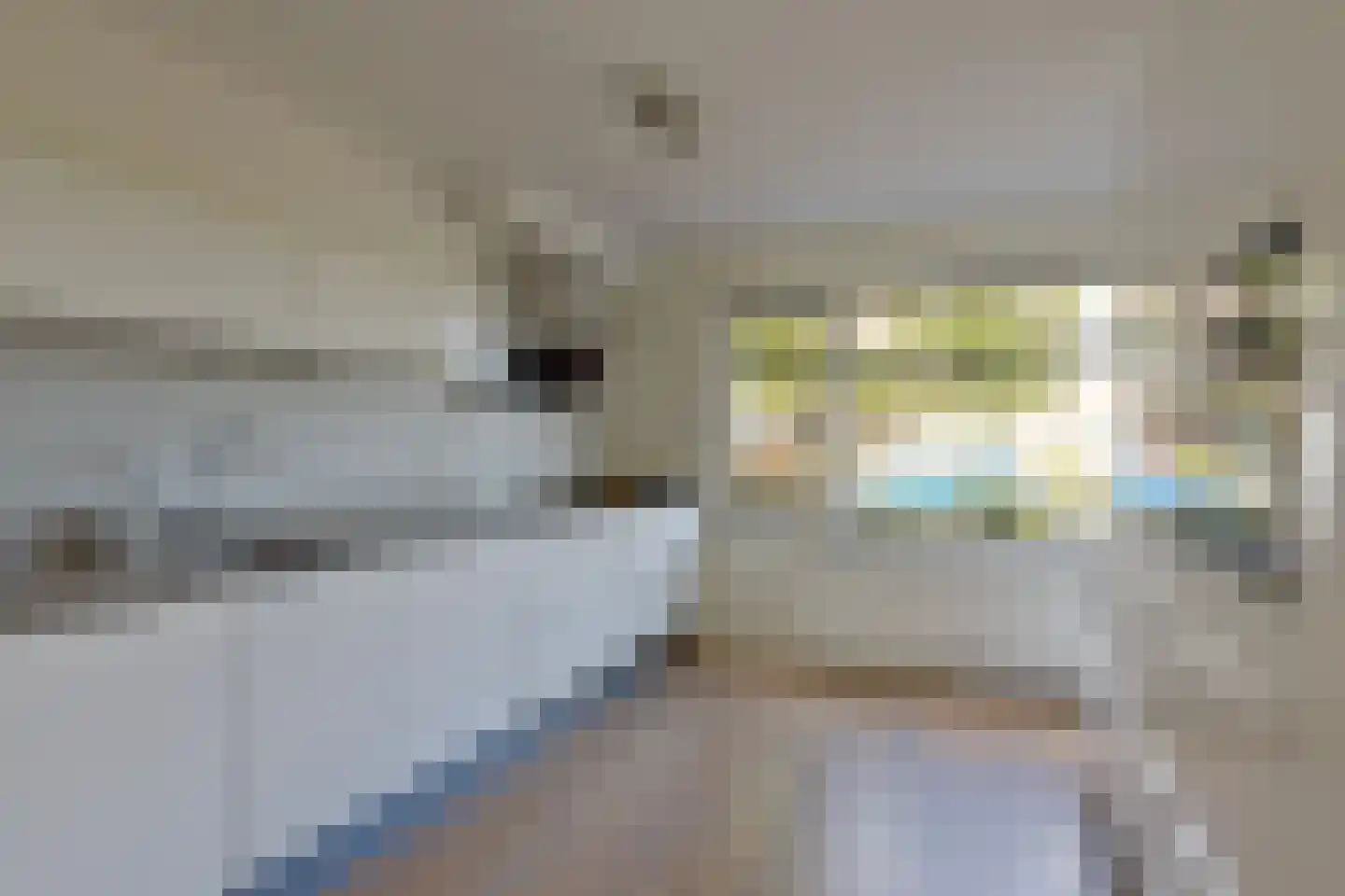 De Eenhoorn 65 Middenbeemster thumbnail 13