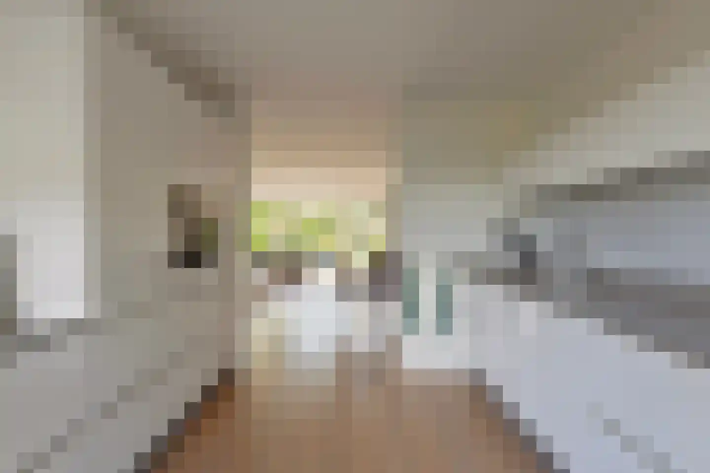 De Eenhoorn 65 Middenbeemster thumbnail 16