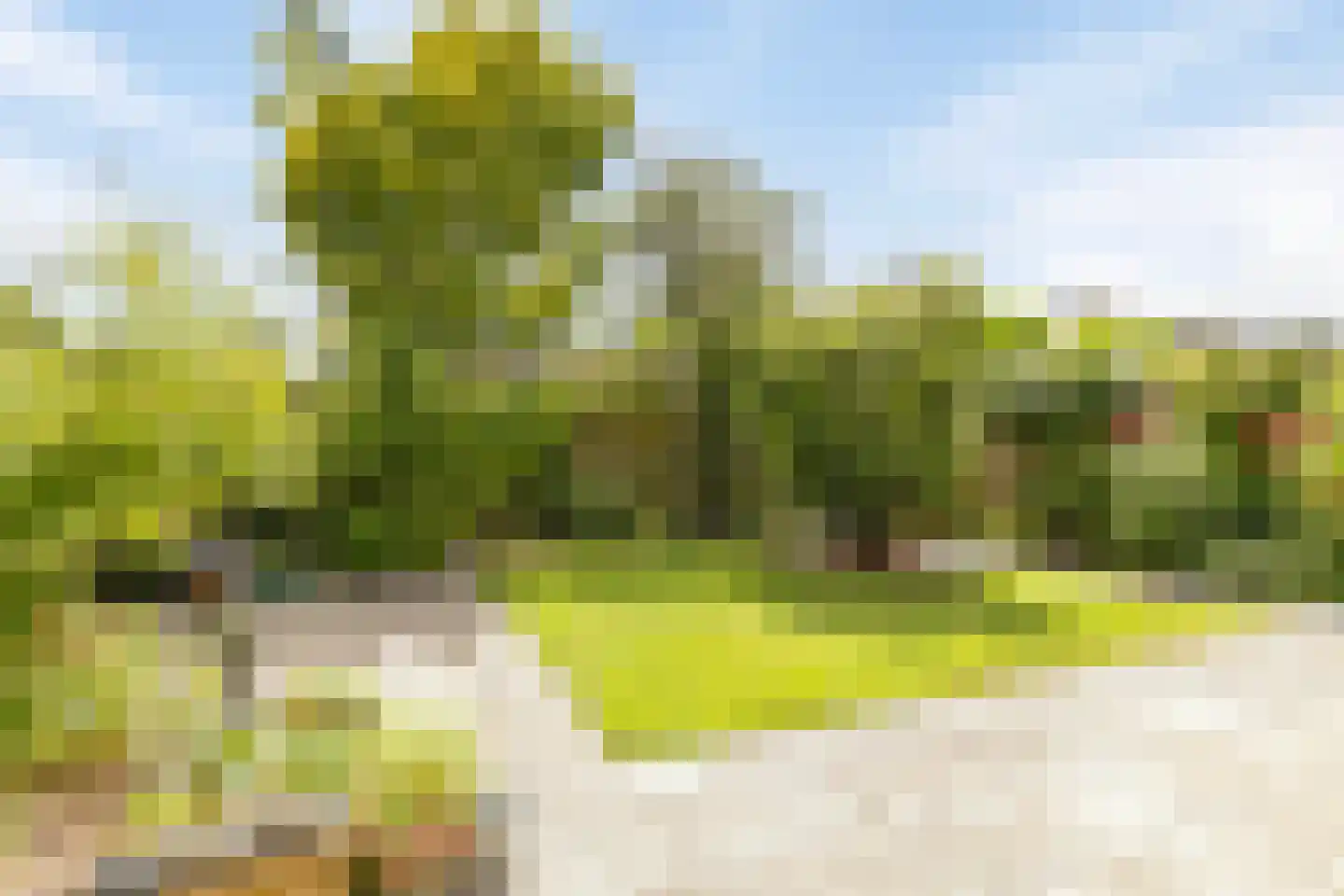 De Eenhoorn 65 Middenbeemster thumbnail 20