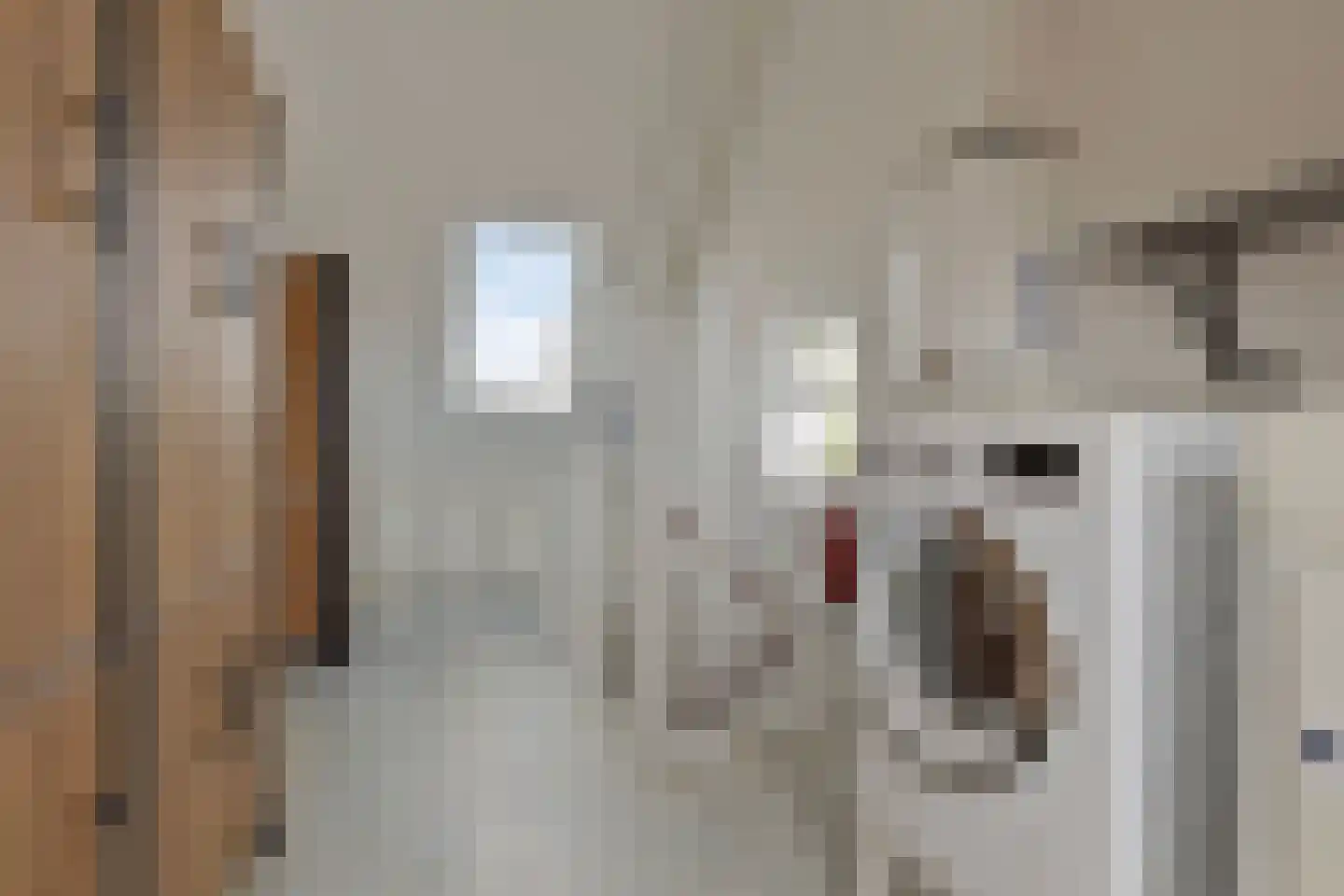 De Eenhoorn 65 Middenbeemster thumbnail 32