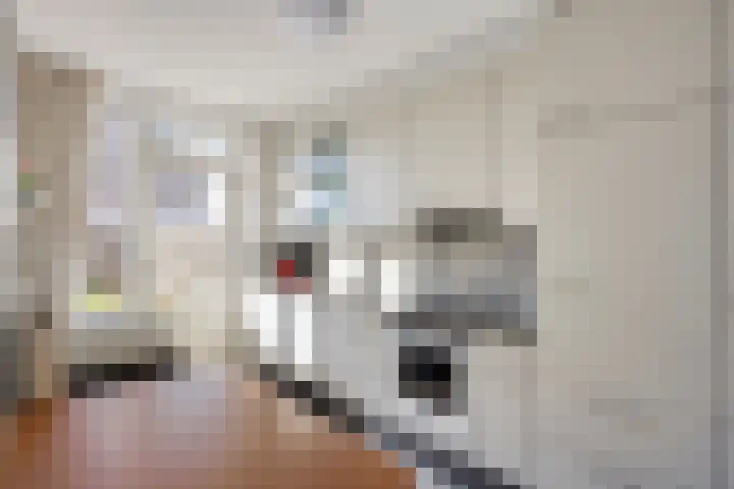 de Eerensplein 11 Vlodrop thumbnail 10