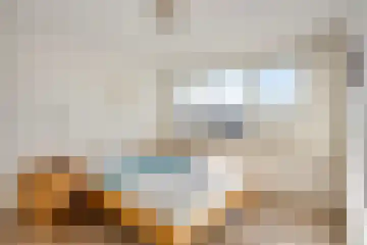 de Eerensplein 11 Vlodrop thumbnail 15