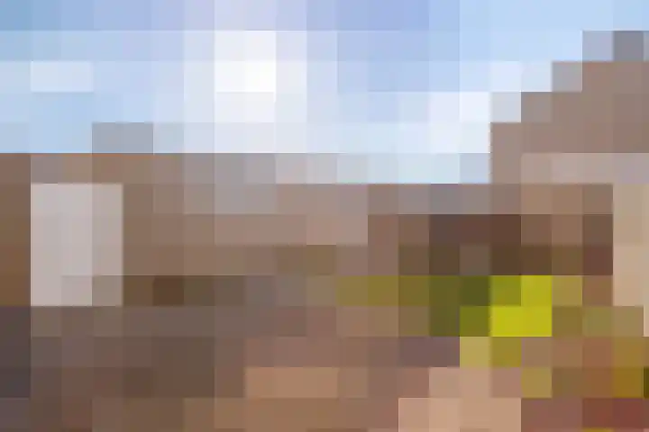 de Eerensplein 11 Vlodrop thumbnail 24