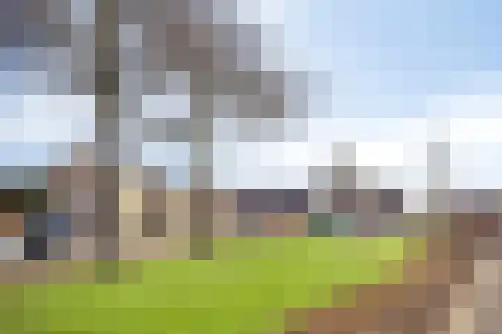 de Eerensplein 11 Vlodrop thumbnail 31