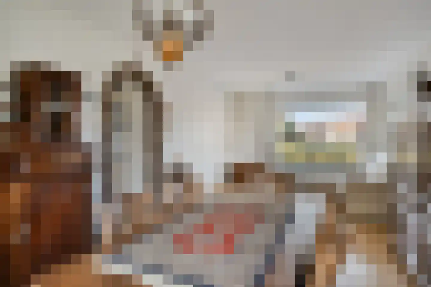 de Eerensplein 7 Vlodrop thumbnail 10