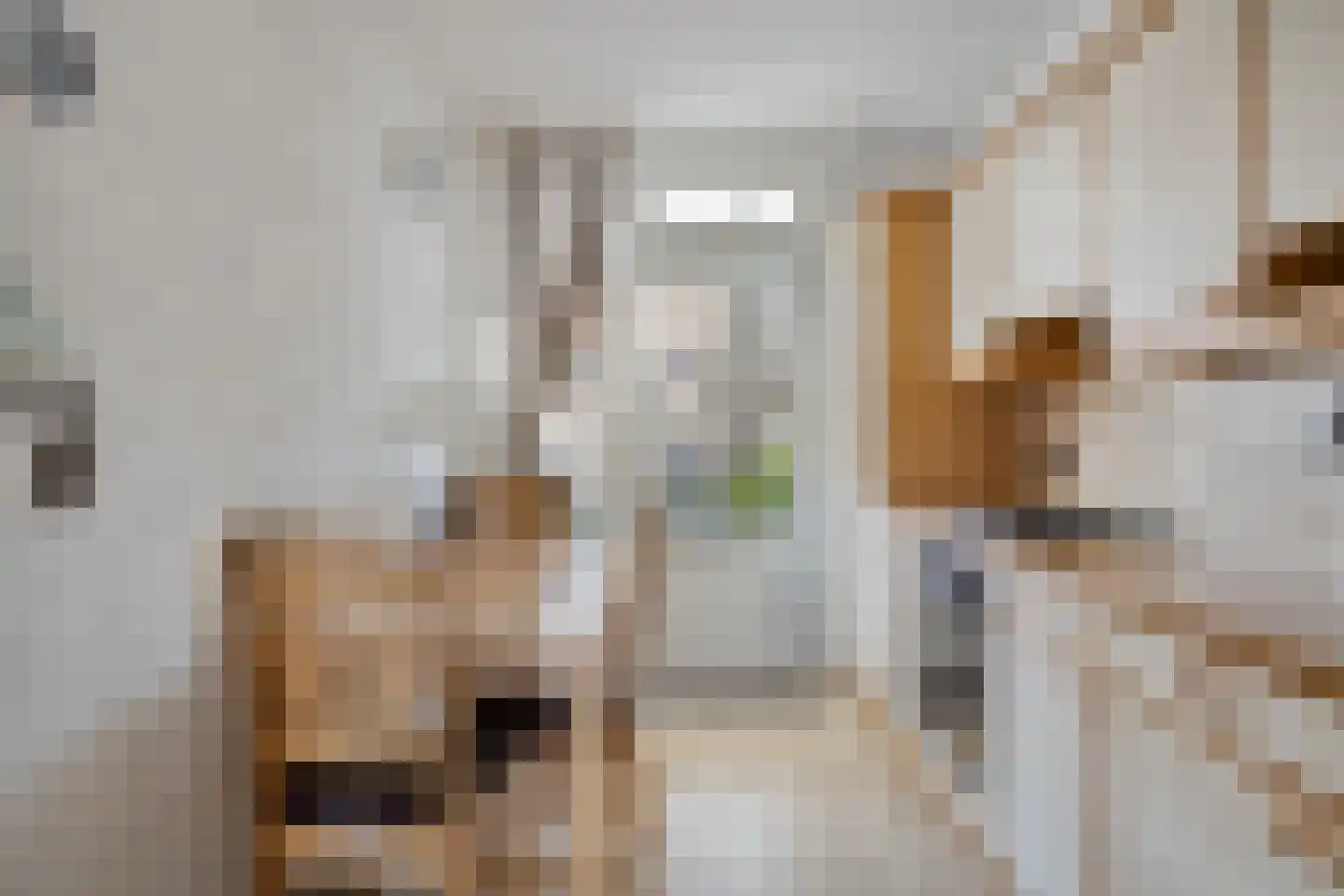 de Eerensplein 7 Vlodrop thumbnail 12
