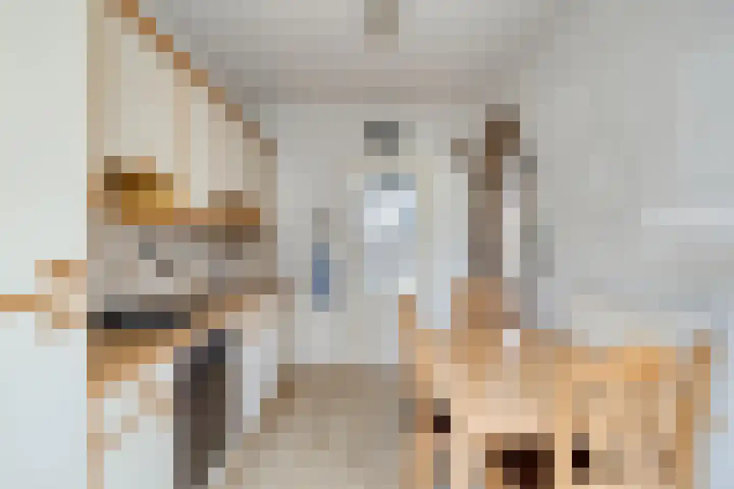 de Eerensplein 7 Vlodrop thumbnail 13