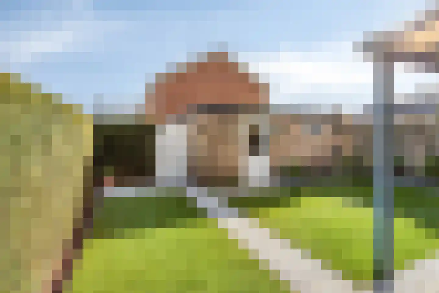 de Eerensplein 7 Vlodrop thumbnail 22