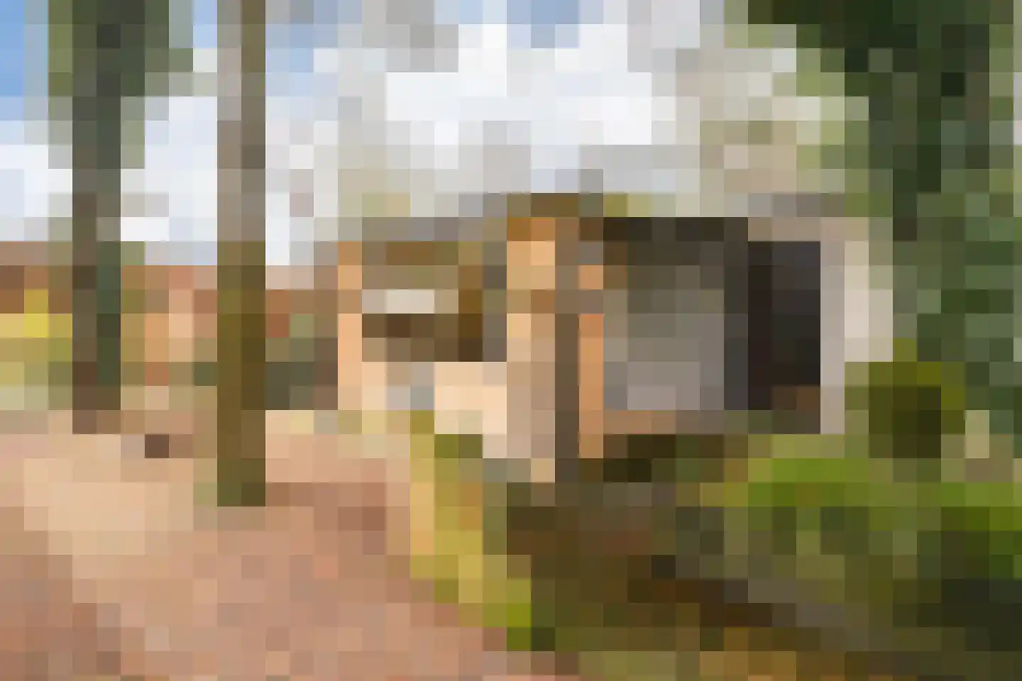 De Eersteling 18 Velp thumbnail 14