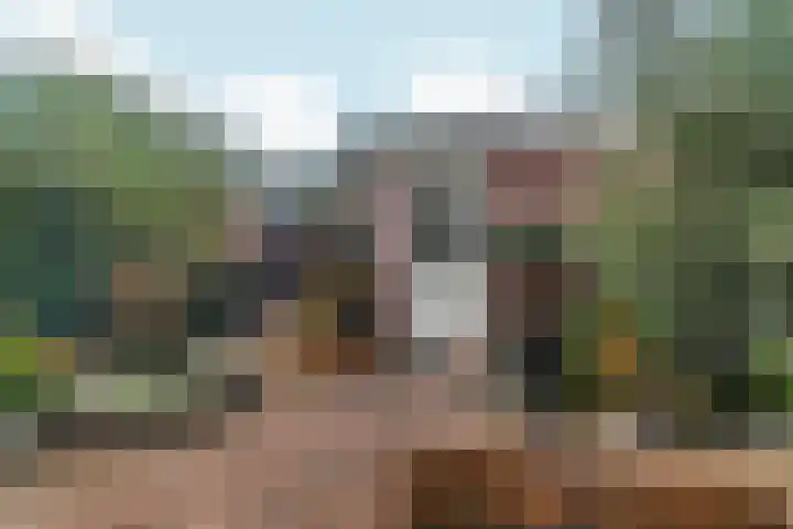 De Eersteling 18 Velp thumbnail 32