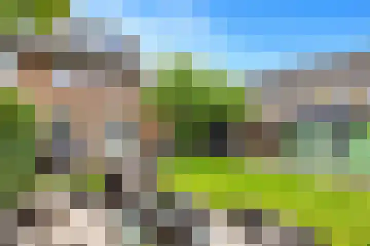 De Eersteling 18 Velp thumbnail 39