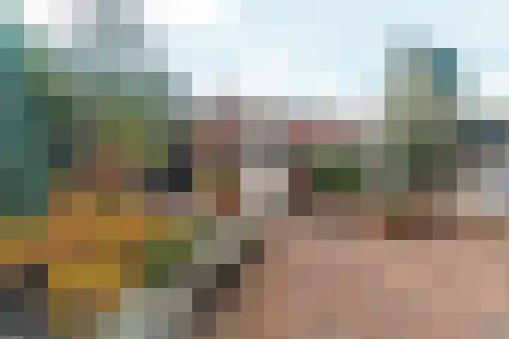 De Eersteling 18 Velp thumbnail 4