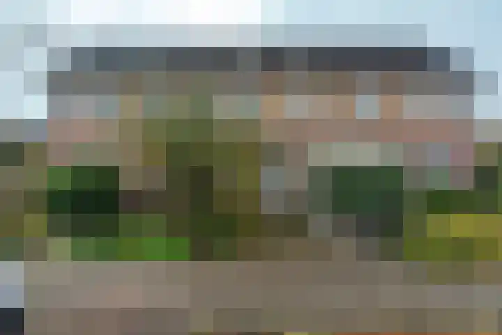 De Eersteling 18 Velp thumbnail 5