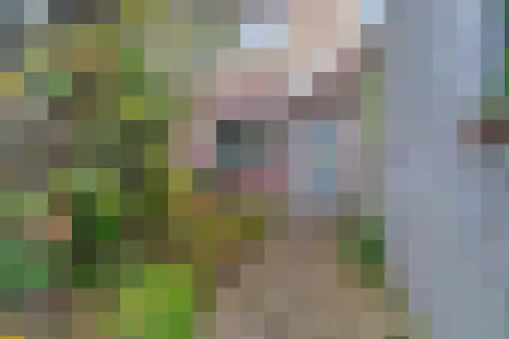 De Eersteling 18 Velp thumbnail 6