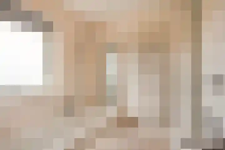 De Eersteling 20 Velp thumbnail 13