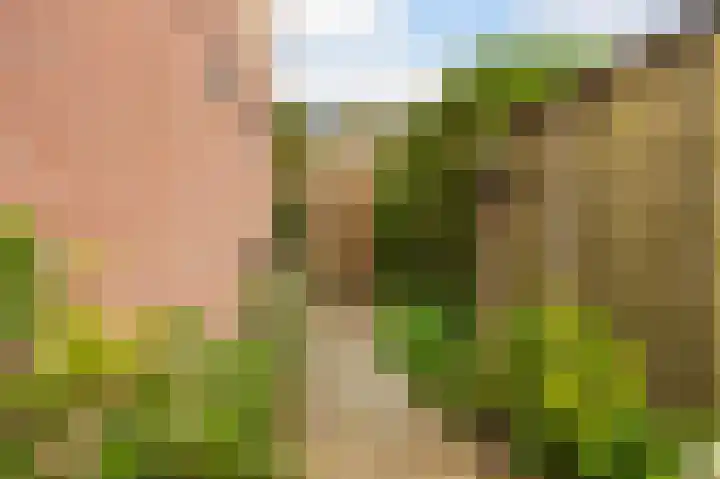 De Eersteling 20 Velp thumbnail 20