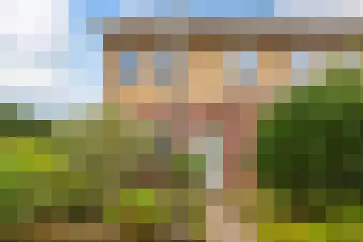 De Eersteling 20 Velp thumbnail 21