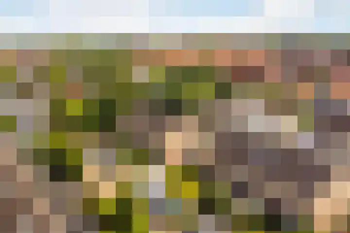 De Eersteling 20 Velp thumbnail 22