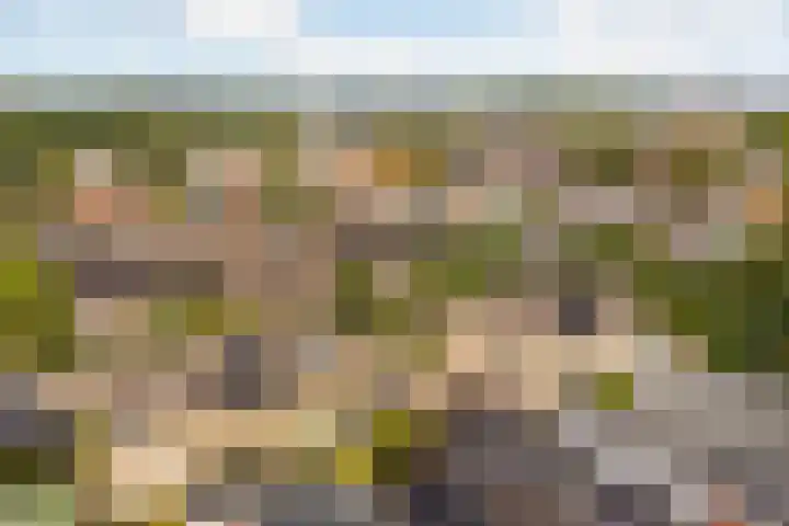 De Eersteling 20 Velp thumbnail 23