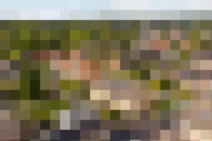 De Eersteling 20 Velp thumbnail 24