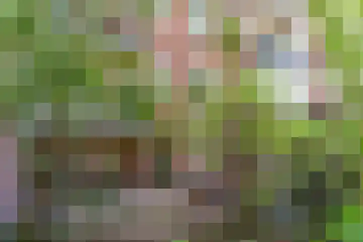 De Eersteling 20 Velp thumbnail 29