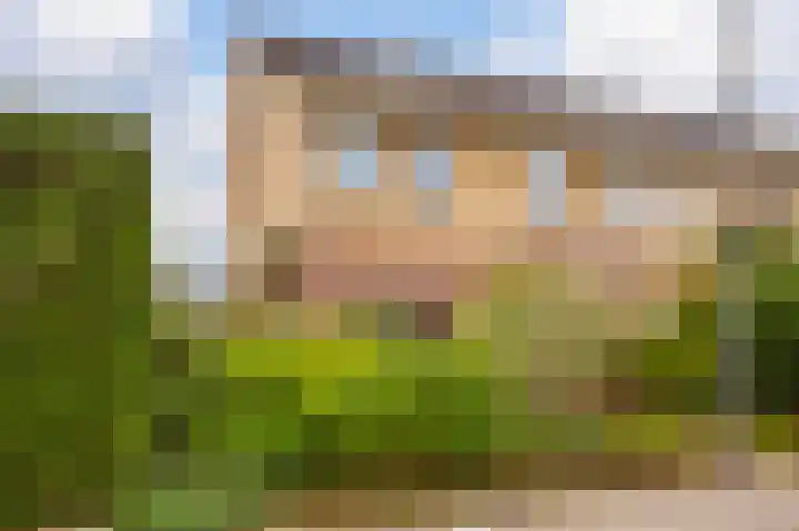 De Eersteling 20 Velp thumbnail 30
