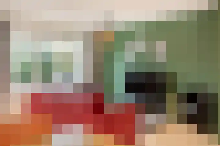 De Eersteling 20 Velp thumbnail 4