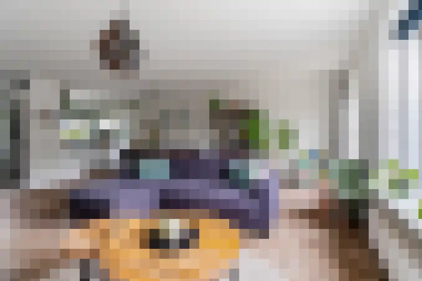 De Eersteling 24 Velp thumbnail 12