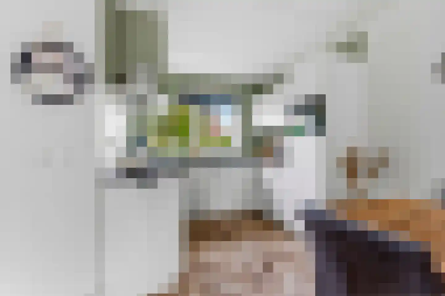 De Eersteling 24 Velp thumbnail 17