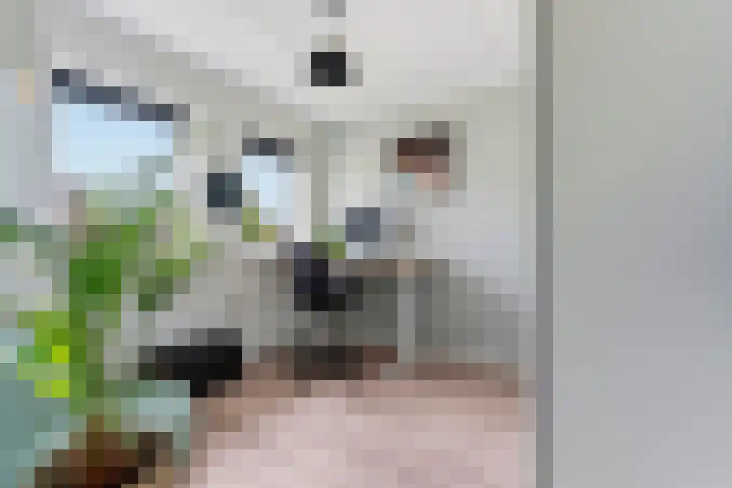 De Eersteling 24 Velp thumbnail 26